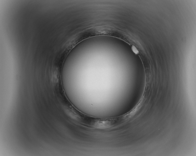 X0000116650174200912141302