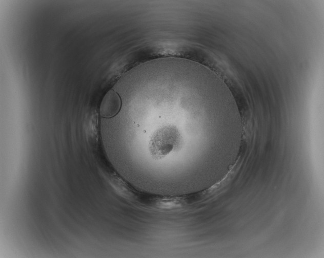 X0000116650175200912141302