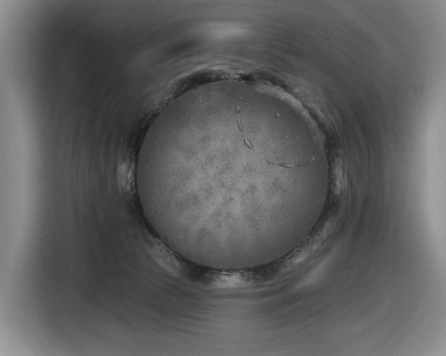 X0000116650177200912141302