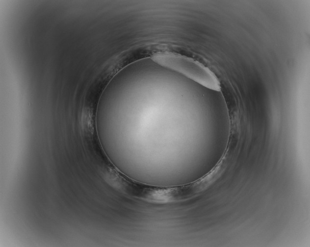 X0000116650178200912141302