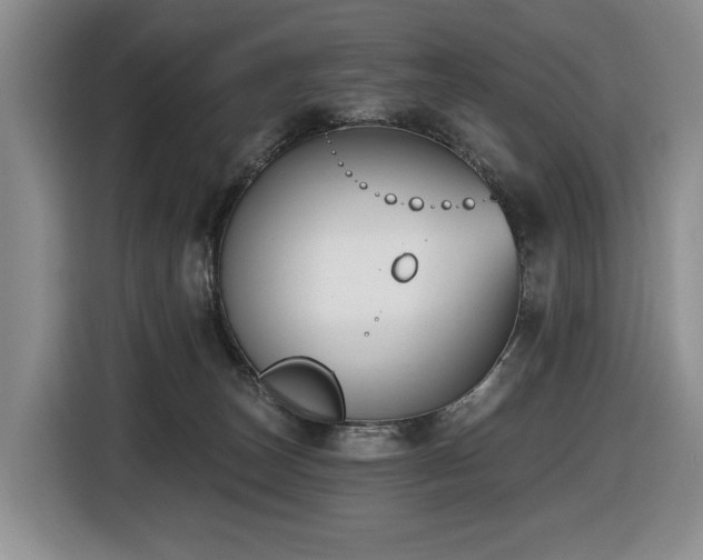 X0000116650179200912141302