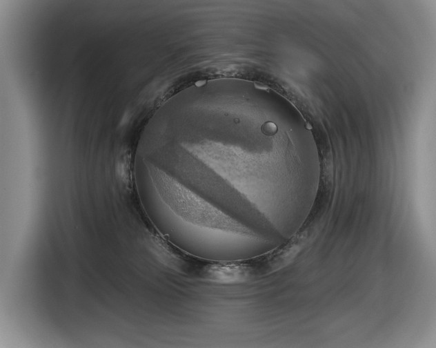 X0000116650181200912141303