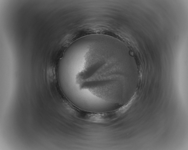 X0000116650182200912141303