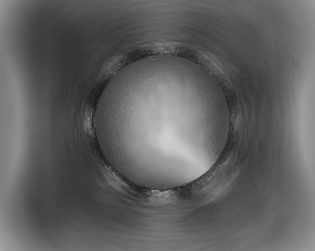 X0000116650185200912141303