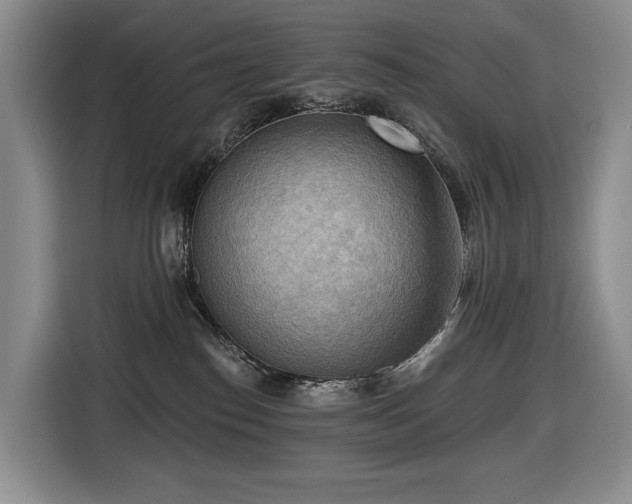 X0000116650186200912141303