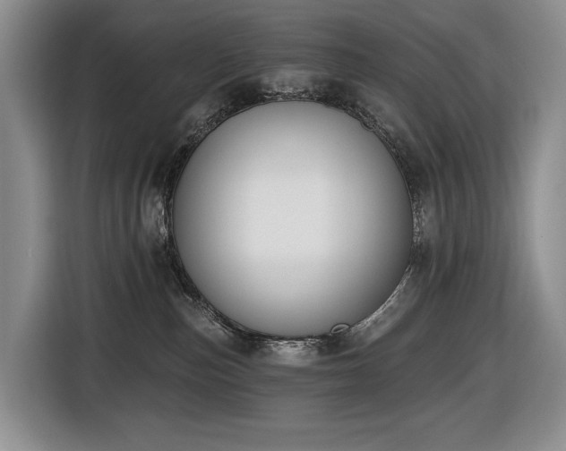 X0000116650187200912141303