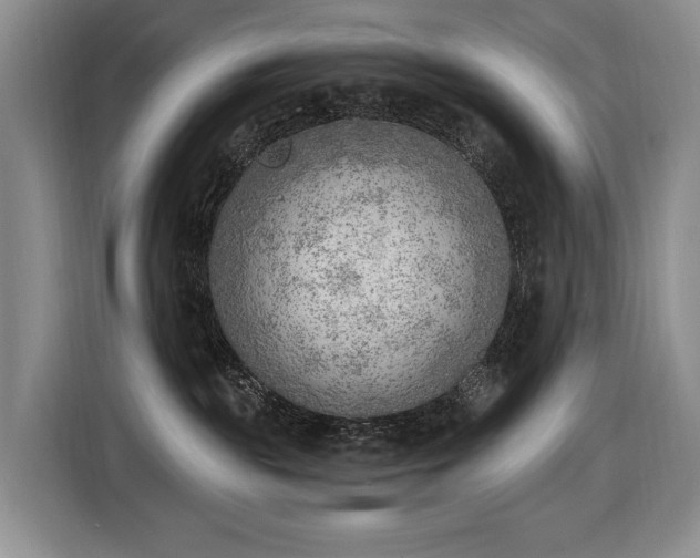 X0000116650189200912141303