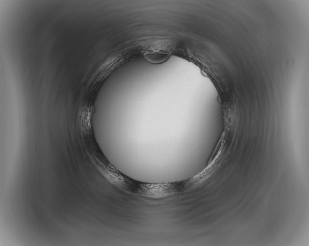 X0000116650191200912141303