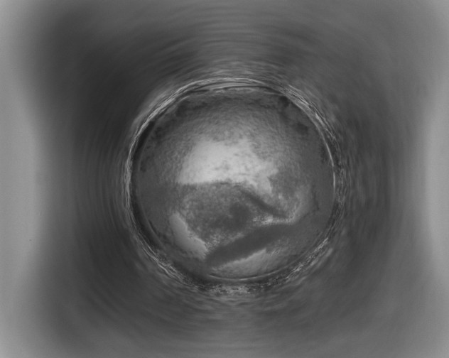 X0000116650194200912141302