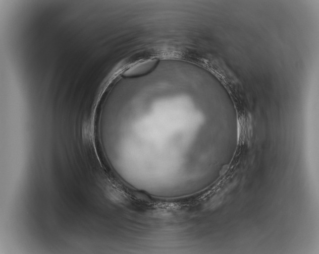 X0000116650195200912141302