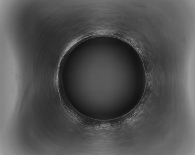 X0000116650196200912141302