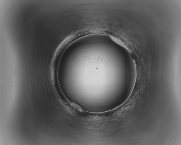 X0000116650197200912141302