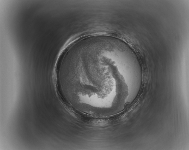 X0000116650198200912141302