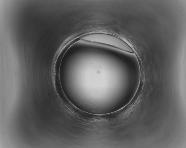 X0000116650199200912141302