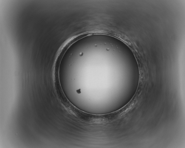 X0000116650200200912141302