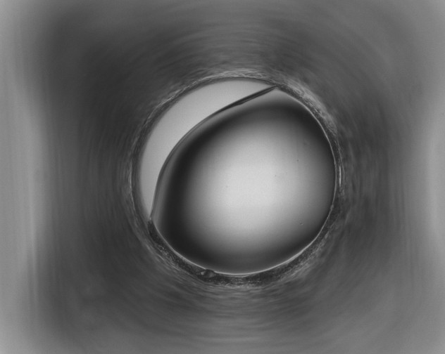 X0000116650201200912141302