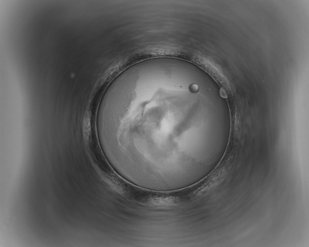 X0000116650202200912141302