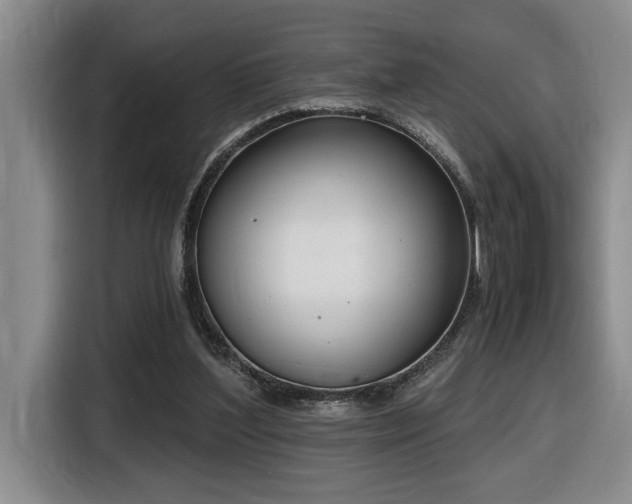 X0000116650204200912141302