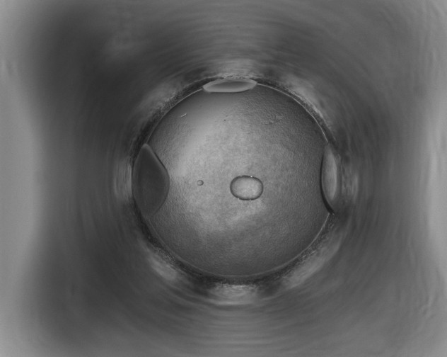 X0000116650205200912141302