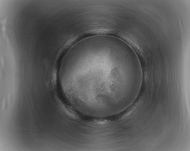 X0000116650206200912141302