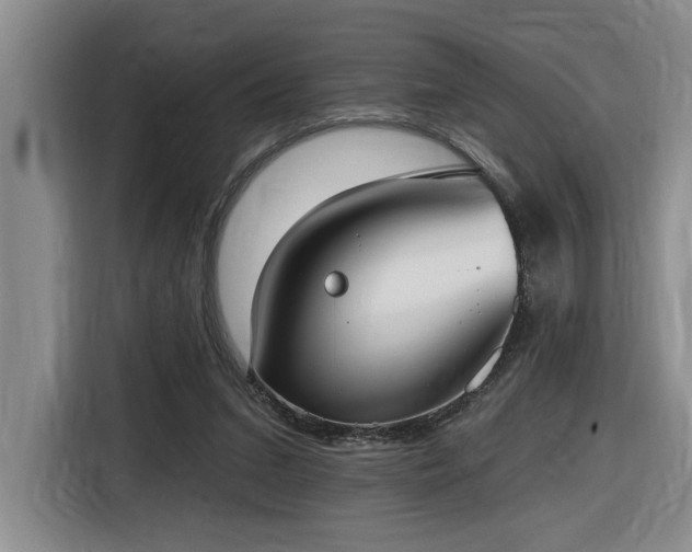X0000116650207200912141302