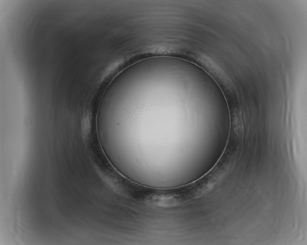X0000116650208200912141302