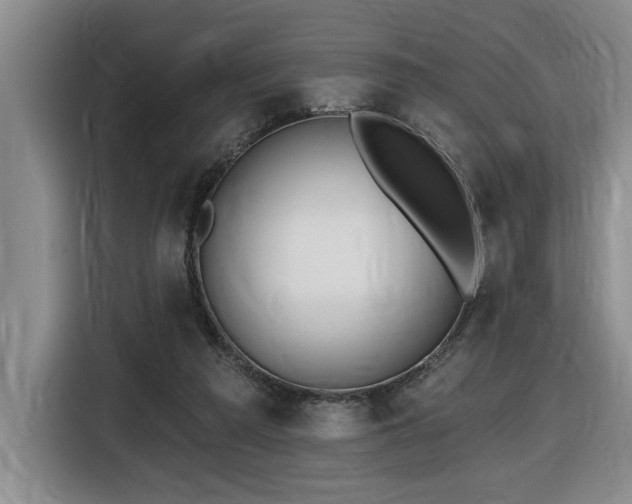 X0000116650209200912141302