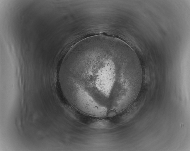 X0000116650210200912141302