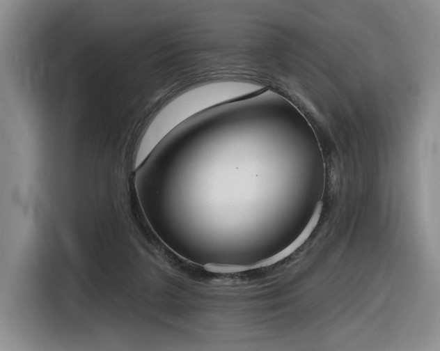 X0000116650211200912141302