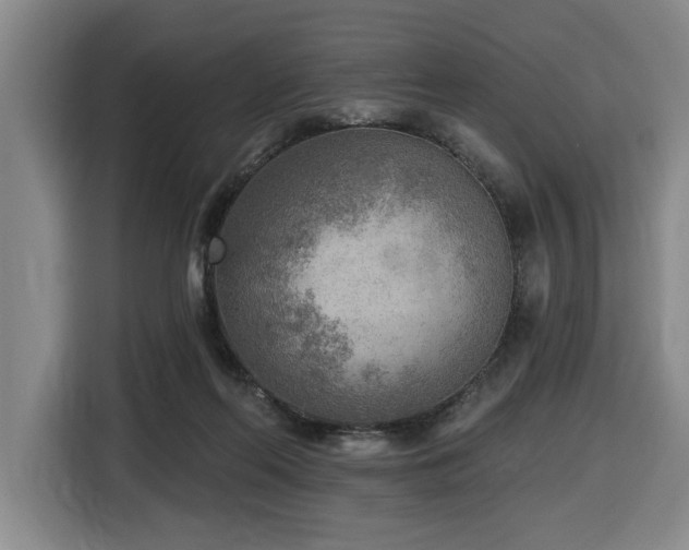 X0000116650214200912141302