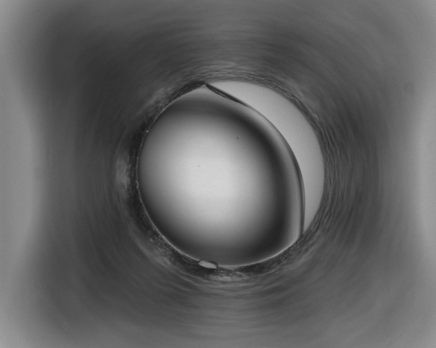 X0000116650215200912141302