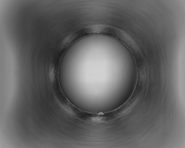 X0000116650216200912141302
