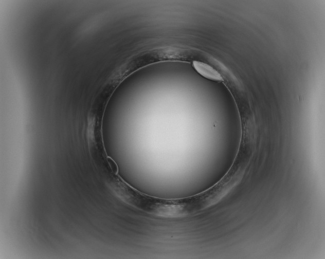 X0000116650217200912141302