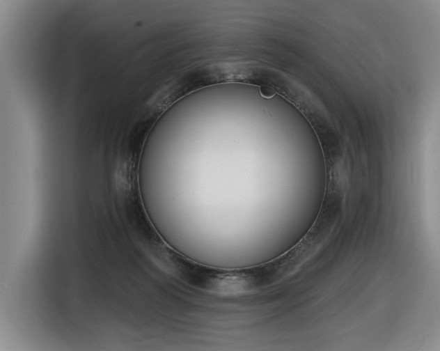 X0000116650218200912141302