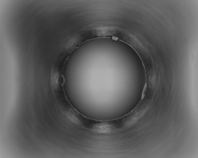 X0000116650219200912141302
