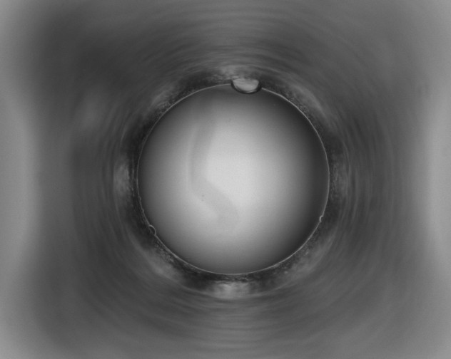 X0000116650220200912141302