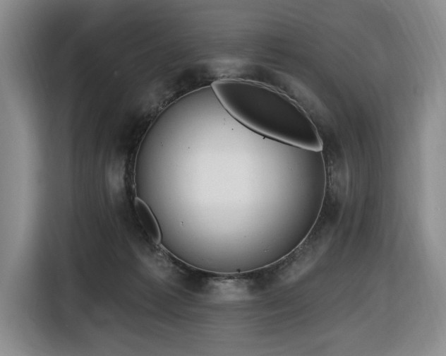 X0000116650221200912141302