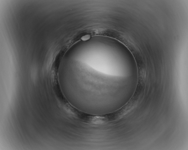 X0000116650222200912141302