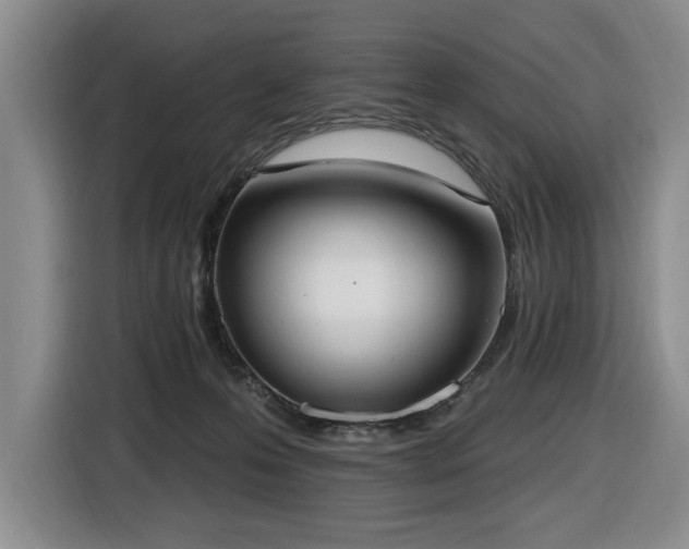 X0000116650223200912141302