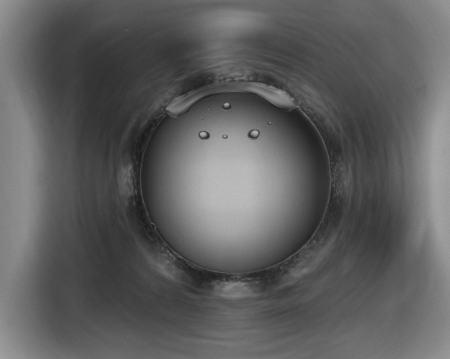X0000116650224200912141302