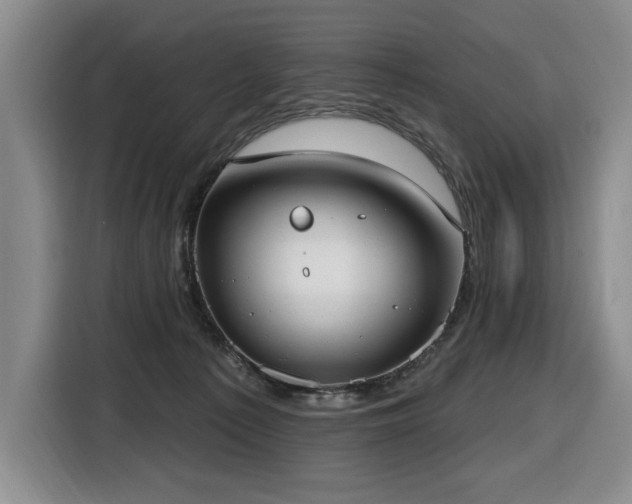 X0000116650225200912141302