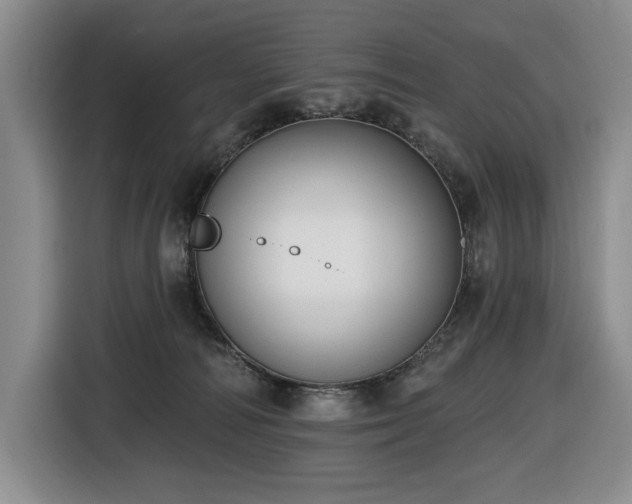 X0000116650226200912141302