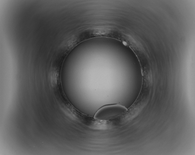 X0000116650227200912141302