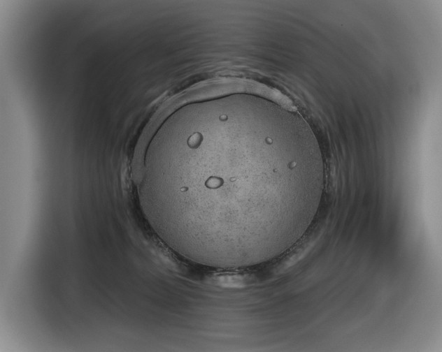 X0000116650228200912141302