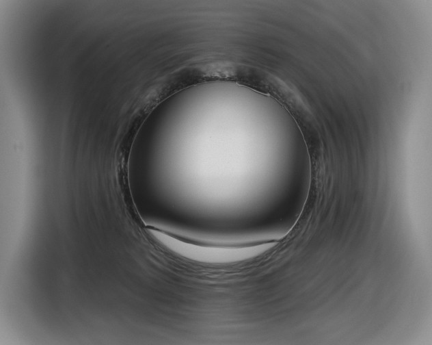 X0000116650229200912141302