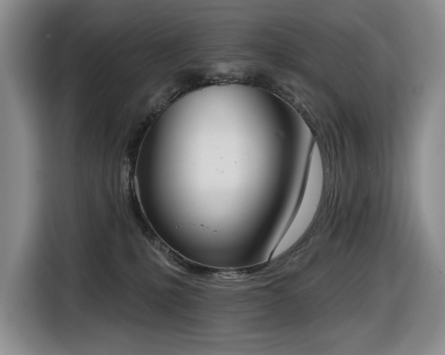 X0000116650231200912141302