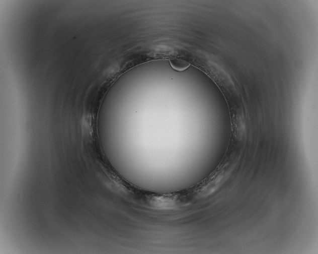 X0000116650232200912141302