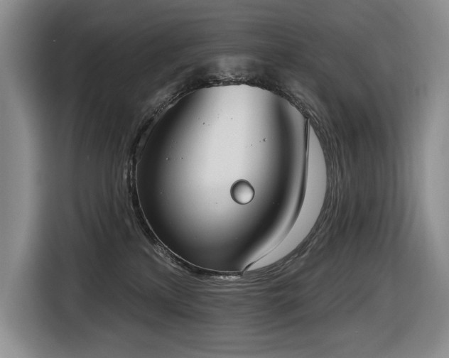 X0000116650233200912141302