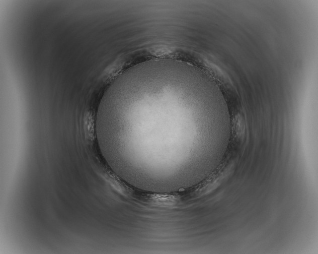 X0000116650234200912141302