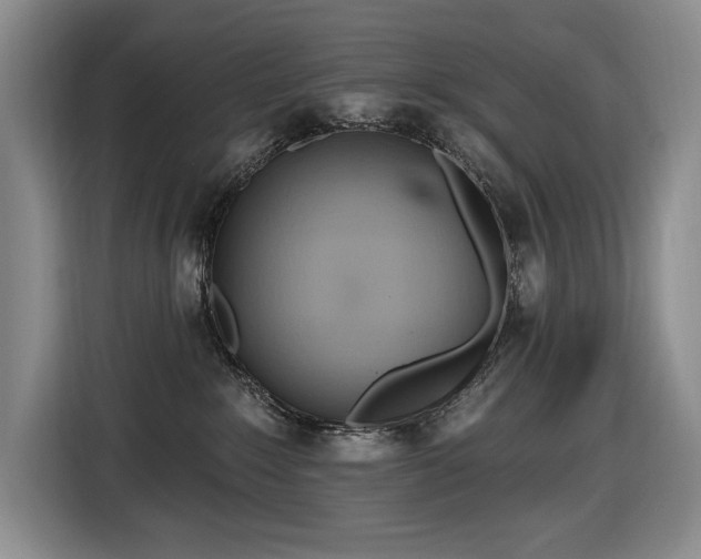 X0000116650235200912141301